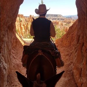 Meet your Posher, Jake